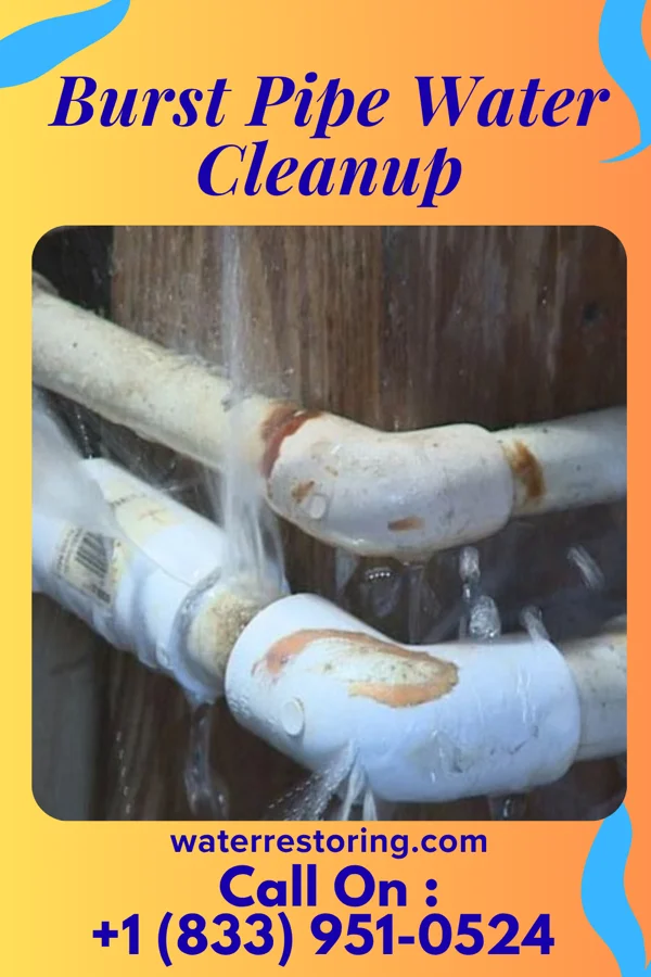 Burst Pipe Water Cleanup in Owingsville, KY