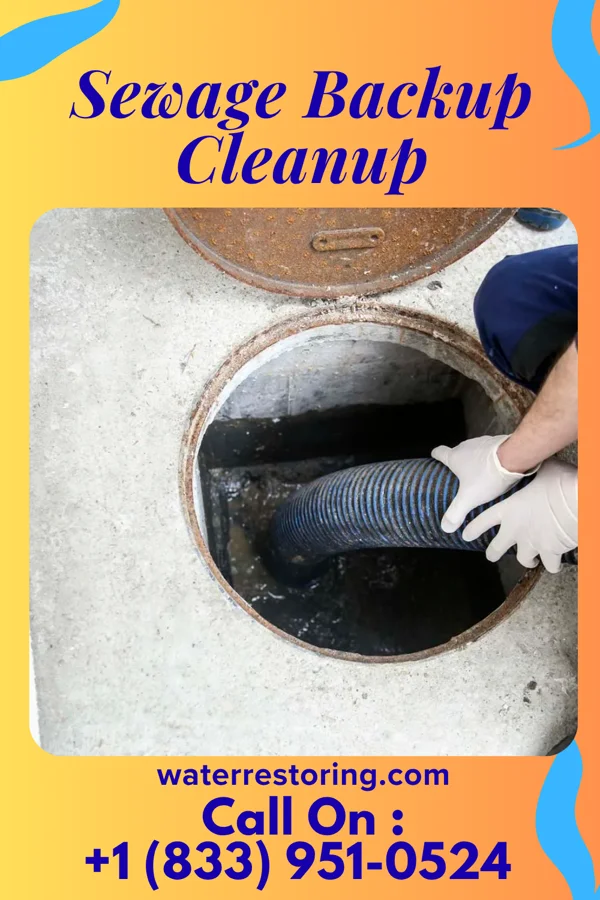 Sewage Backup Cleanup in Owingsville, KY